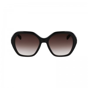 Black Longchamp OTHER Women Sunglasses | 713984YXM