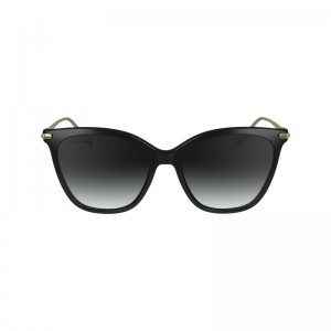 Black Longchamp OTHER Women Sunglasses | 536079KEO