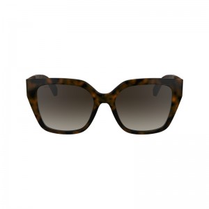 Dark Havana Longchamp OTHER Women Sunglasses | 897631AVG