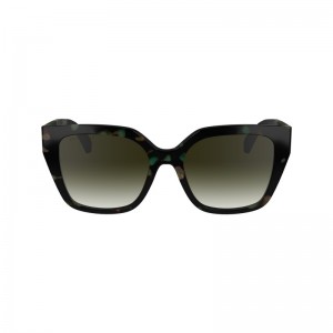 Green Havana Longchamp OTHER Women Sunglasses | 153062XYI