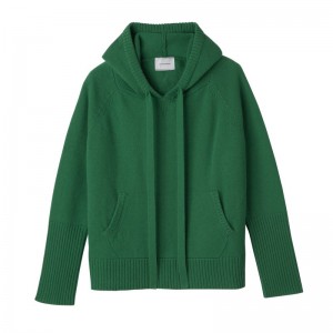 Green Longchamp Hoodie jumper - Knit Women Tops & Blouses | 407381IEA