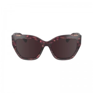 Havana Red Longchamp OTHER Women Sunglasses | 810925BCZ