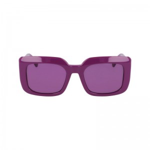 White/Violet Longchamp OTHER Women Sunglasses | 196275IHT