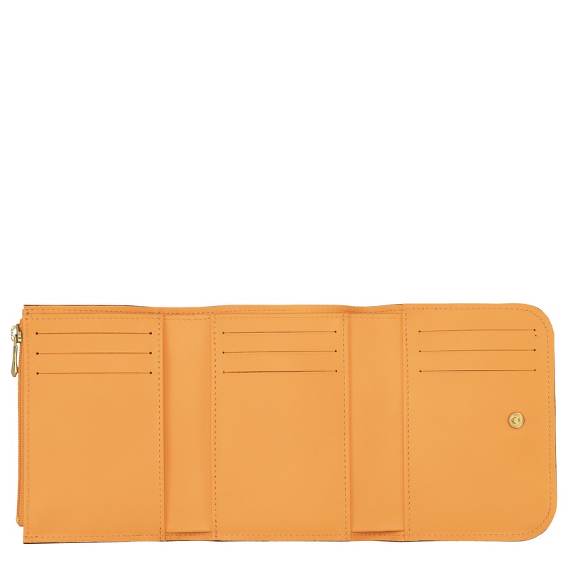 Apricot Longchamp Box-Trot - Leather Women Wallets | 371204ZPB