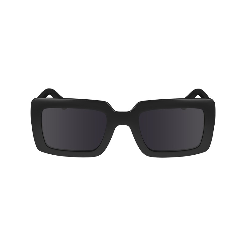 Black Longchamp OTHER Women Sunglasses | 897265HAC